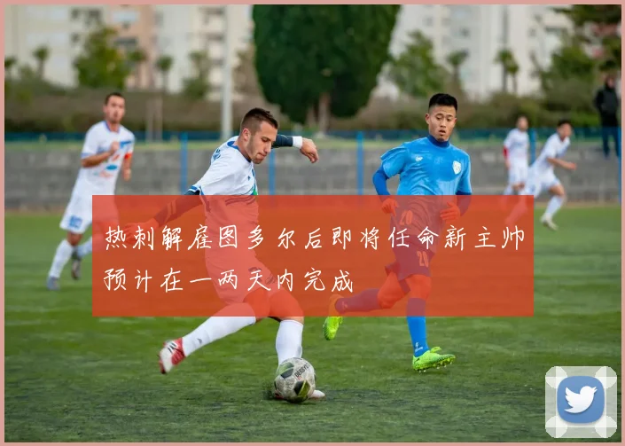 热刺解雇图多尔后即将任命新主帅预计在一两天内完成